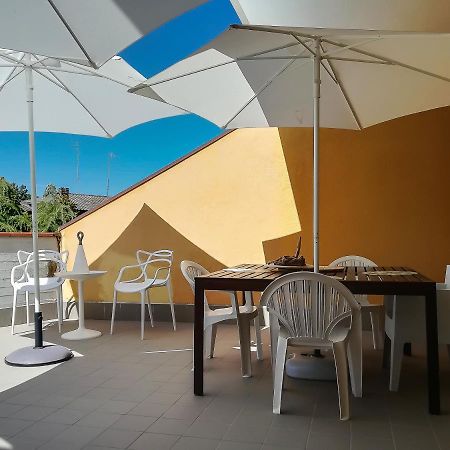 Appartamento Con Terrazza Lido delle Nazioni Esterno foto
